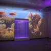 Проекционный дизайн "Виртуальная реальность" базовый комплект 500 анимаций - «globural.ru» - Тольятти