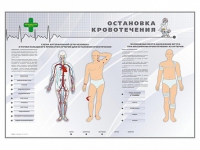 Электрифицированный стенд "Остановка кровотечения" - «globural.ru» - Тольятти