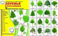 Демонстрационные карточки "Деревья и кустарники" - «globural.ru» - Тольятти