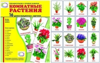 Демонстрационные карточки "Комнатные растения" - «globural.ru» - Тольятти