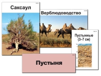 Модель-аппликация "Природные зоны России" - «globural.ru» - Тольятти