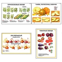 Плакаты ПРОФТЕХ "Ассортимент овощных культур" (12 пл, винил, 70х100) - «globural.ru» - Тольятти