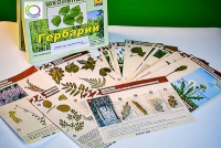 Гербарий к курсу основ общей биологии - «globural.ru» - Тольятти