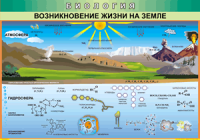 Таблица Возникновение жизни на Земле 1000*1400 винил - «globural.ru» - Тольятти