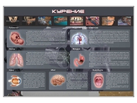 Стенд "Курение" (вариант 1) - «globural.ru» - Тольятти