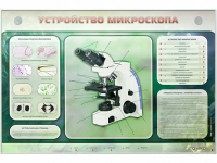 Электрифицированный стенд "Устройство микроскопа и правила работы c ним" - «globural.ru» - Тольятти