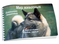 Пособие для слабовидящих "Домашние животные" - «globural.ru» - Тольятти