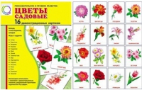 Демонстрационные карточки "Цветы садовые" - «globural.ru» - Тольятти