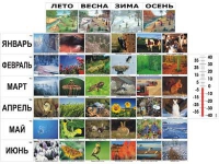 Фенологические наблюдения - «globural.ru» - Тольятти