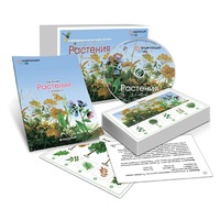 Комбинированное наглядное пособие «Растения» - «globural.ru» - Тольятти