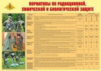 Плакат "Нормативы по радиационной, химической и биологической защите" - «globural.ru» - Тольятти