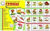 Демонстрационные карточки  "Грибы съедобные и не съедобные" - «globural.ru» - Тольятти