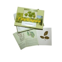 Гербарий "Дикорастущие растения" (30 видов, с иллюстрациями) - «globural.ru» - Тольятти
