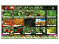 Комплект оборудования "Живой уголок" (растения) - «globural.ru» - Тольятти