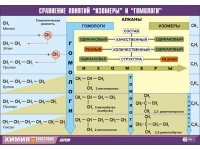 Таблица демонстрационная "Сравнение понятий изомер и гомолог" (винил 70x100) - «globural.ru» - Тольятти