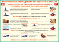 Таблица Порядок действий при коматозном состоянии пострадавшего 1000*1400 винил - «globural.ru» - Тольятти