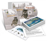Комбинированное наглядное пособие «Животные» - «globural.ru» - Тольятти