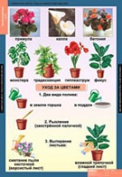 Окружающий мир 1 класс (комплект таблиц) - «globural.ru» - Тольятти