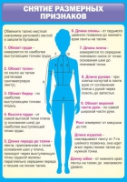 Стенд "Снятие мерок" (вариант 2) - «globural.ru» - Тольятти