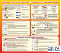 Стенд "Первая доврачебная неотложная помощь" - «globural.ru» - Тольятти