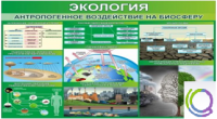 Стенд "Экология. Антропогенное воздействие на биосферу" - «globural.ru» - Тольятти