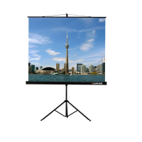 Проекционный экран на штативе Lumien Eco View (LEV-100105) 160x160 см - «globural.ru» - Тольятти