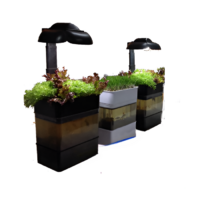 Учебная установка "Аквапоника"  - «globural.ru» - Тольятти