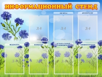 Стенд информационный с 7 карманами - «globural.ru» - Тольятти