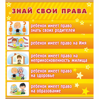 Стенд "Знай свои права" - «globural.ru» - Тольятти