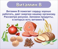 Стенд "Витамин В" - «globural.ru» - Тольятти