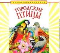 CD "Аудиоэнциклопедия. Городские птицы" - «globural.ru» - Тольятти