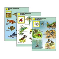Комплект таблиц для начальной школы "Окружающий мир. Животный мир" - «globural.ru» - Тольятти