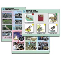 Комплект таблиц для  начальной школы "Окружающий мир. Экология" - «globural.ru» - Тольятти