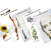 Таблицы по природоведению 1-3 класс - «globural.ru» - Тольятти