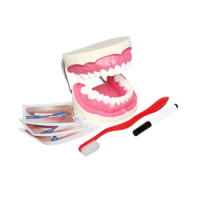 Игровой комплект "Чистим зубы" - «globural.ru» - Тольятти