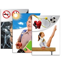 Модель-аппликация "Здоровье человека" - «globural.ru» - Тольятти