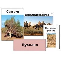 Модель-аппликация "Природные зоны России" - «globural.ru» - Тольятти