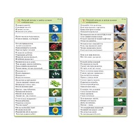 Комплект карточек (10) "Обучающий калейдоскоп. Природа" - «globural.ru» - Тольятти