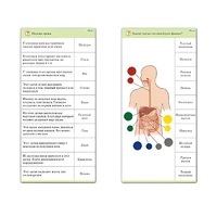 Комплект карточек (10) "Обучающий калейдоскоп. Человек" - «globural.ru» - Тольятти