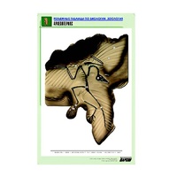 Рельефная таблица "Археоптерикс" (формат А1, матовое ламинир.) - «globural.ru» - Тольятти