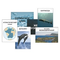 Модель-аппликация "Океаны. Знакомство" (ламинированная) - «globural.ru» - Тольятти