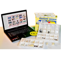 Коллекция натурально-интерактивная "Пластмассы" - «globural.ru» - Тольятти