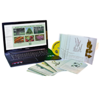 Гербарий натурально-интерактивный "Лекарственные растения" - «globural.ru» - Тольятти