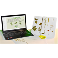 Гербарий натурально-интерактивный "Морфология растений" - «globural.ru» - Тольятти