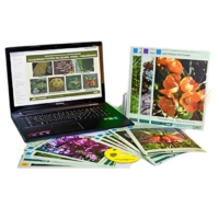 Гербарий натурально-интерактивный "Основные группы растений. Грибы. Лишайники" - «globural.ru» - Тольятти