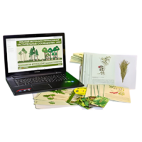 Гербарий натурально-интерактивный "Растительные сообщества. Лес" - «globural.ru» - Тольятти