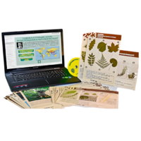 Гербарий натурально-интерактивный к курсу основ общей биологии - «globural.ru» - Тольятти