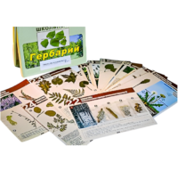 Гербарий к курсу основ общей биологии - «globural.ru» - Тольятти