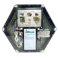 Модуль интерактивный с искусственным интеллектом "Интеллектуальная география" - «globural.ru» - Тольятти