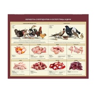 Стенд «Обработка субпродуктов и костей птицы и дичи» - «globural.ru» - Тольятти